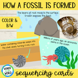 How a fossil is formed printable sequencing cards activity