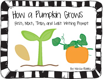 Preview of How a Pumpkin Grows: First, Next, Then, After, Finally