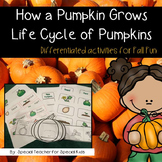 How a Pumpkin Grows--PUMPKIN Life Cycle Activities