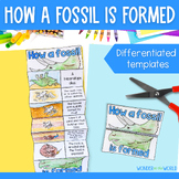 How a dinosaur fossil is formed foldable sequencing activi