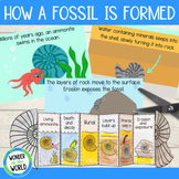 How a fossil is formed sequencing cards and foldable cut a