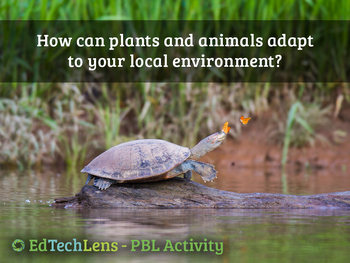 How can plants and animals adapt to your local environment? | TPT