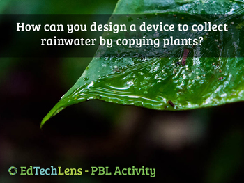 Preview of How can you design a device to collect rainwater by copying plants?