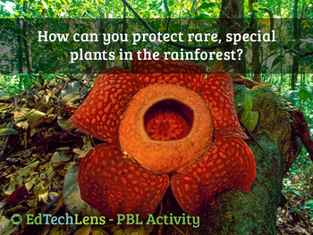 Preview of How can you protect rare, special plants in the rainforest?