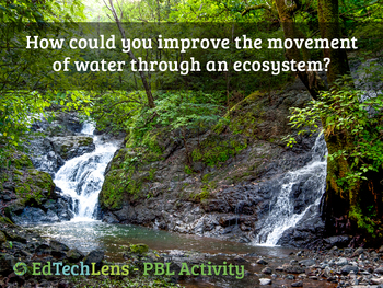 Preview of How could you improve the movement of water through an ecosystem?