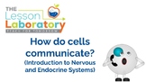 How do cells communicate? (Intro to Nervous and Endocrine 