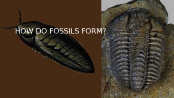 Preview of How do fossils form