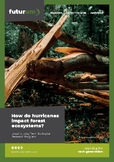How do hurricanes impact forest ecosystems?