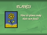 How do plants make their own food? - PowerPoint