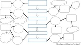 How light travels through the eye - Differentiated Organizer