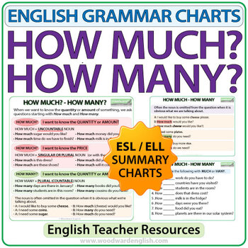 How Many vs. How Much in the English Grammar