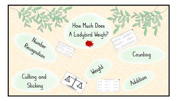 Preview of How much does a ladybird weigh?