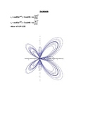 Polar Equation Art- Math is Beautiful