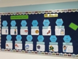 How rare are you? statistics and probability bulletin board
