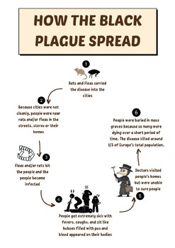 Preview of How the Black/Bubonic Plague was Spread Infographic