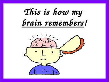 How the Brain Remembers by Brittany Junod | Teachers Pay Teachers