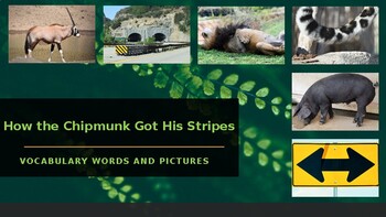Preview of How the Chipmunk Got His Stripes Vocabulary Words, Definitions, and Pictures.