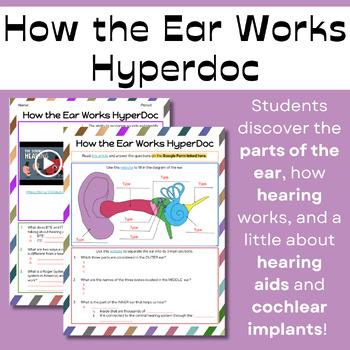 Preview of How the Ear Works - Independent Student Activity