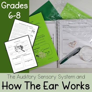 Preview of How the Ear Works & Sense of Hearing STEM Activity and Worksheet (NGSS MS-LS1-8)