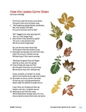 How the Leaves Came Down - Literary Text Test Prep