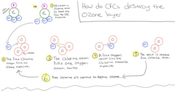 Preview of How the Ozone Layer Is Destroyed - Visual