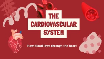 Preview of How the heart works: The Cardiovascular System