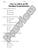 How to Catch an Elf - Reading Comprehesion Questions