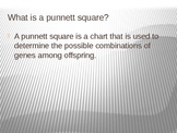 How to Create a Punnett Square PowerPoint