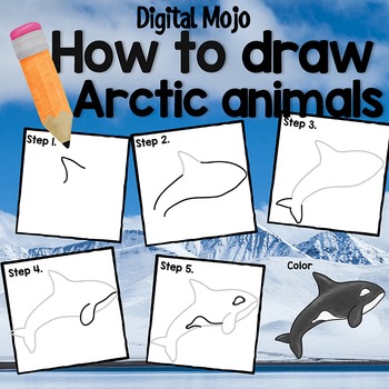 Preview of How to Draw Arctic Animals