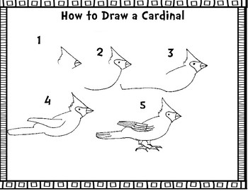 Cardinal Drawing - How To Draw A Cardinal Step By Step