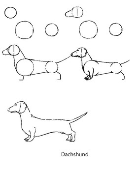 How-to-Draw: Dog Breeds by Visual Voice | Teachers Pay Teachers