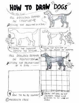 Dog Anatomy Teaching Resources | TPT