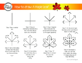 How to Draw: Maple Leaf (Freebie)