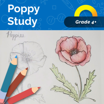 Preview of How to Draw Realistic Poppies - Memorial / Remembrance Day - Video Art Project