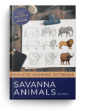 How to Draw Savanna Animals - Realistic Drawing Tutorials