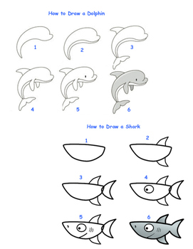 How To Draw Sea Animals Step By Step