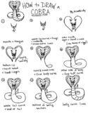 How to Draw a Cobra in 9 Steps