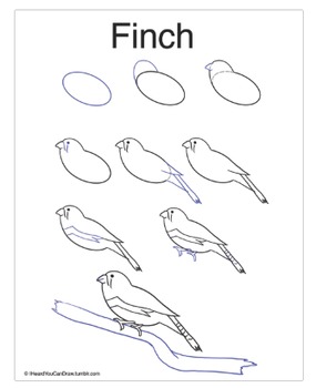Preview of How to Draw a Finch!