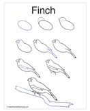 How to Draw a Finch!