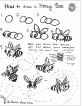honeybee diagram