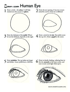 How to Draw a Human Eye Worksheet by Draw to Learn | TpT