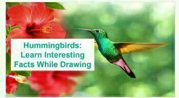 Preview of How to Draw a Hummingbird & Flower Class