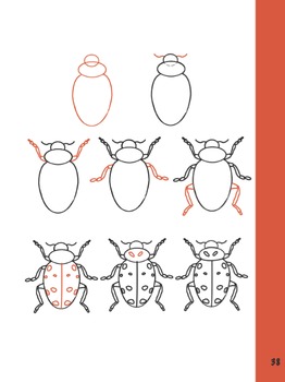 Preview of How to Draw a Ladybug!