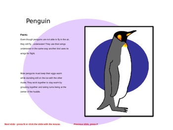 Preview of How to Draw a Penguin