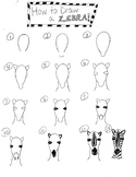 How to Draw a Zebra (Frontal View)