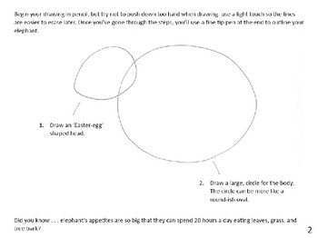 How to Draw and Illustrate an Elephant by Wandering Bear Teacher