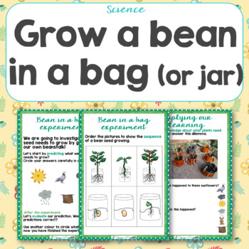 Preview of How to Grow a Bean in a Bag