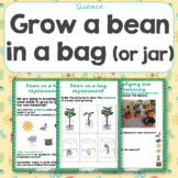 How to Grow a Bean in a Bag