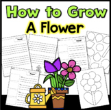 How to Grow a Flower Writing Worksheets & Craft