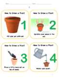 How to Grow a Plant Steps with Pictures